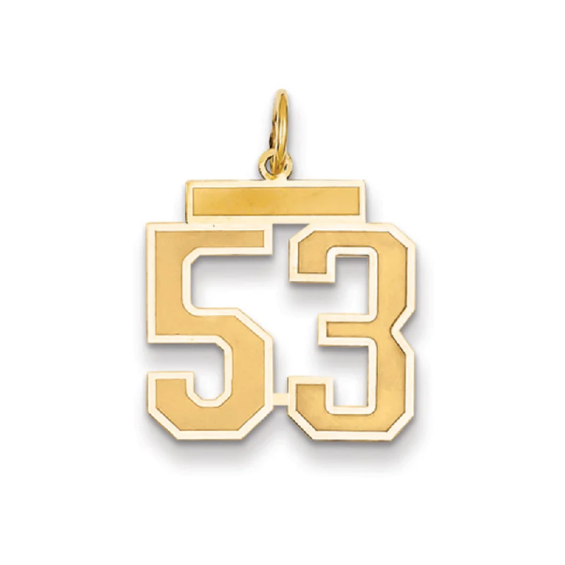 Flash Jewelry Sale – Get Stunning Pieces At Low Prices 14k Yellow Gold, Jersey Collection, Medium Number 53 Pendant Flash Jewelry Sale – Get Stunning Pieces At Low Prices 14k Yellow Gold, Jersey Collection, Medium Number 53 Pendant